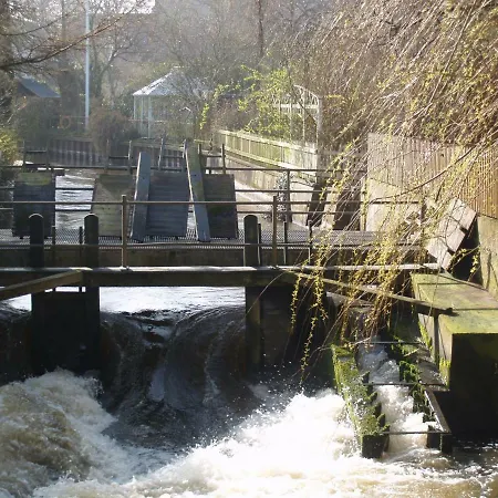 Peder Dovns Slippe Ribe