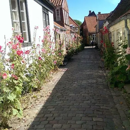 Feriehus Peder Dovns Slippe *